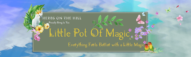 Little Pot Of Magic UK